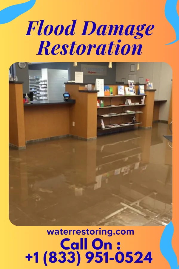 Flood Damage Restoration in Thayer, NE