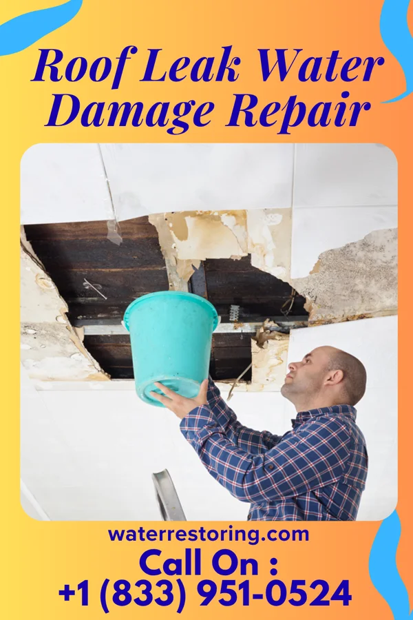 Roof Leak Water Damage Repair in Thayer, NE