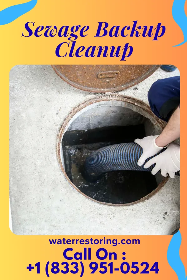 Sewage Backup Cleanup in Thayer, NE