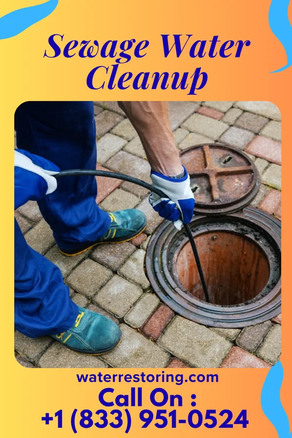 Sewage Water Cleanup in Thayer, NE