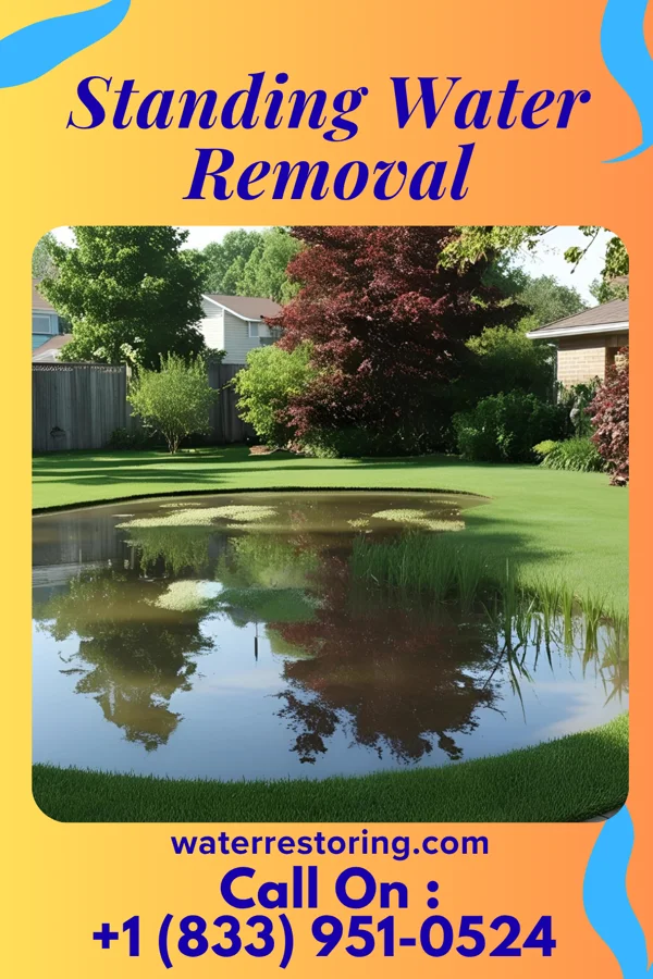Standing Water Removal in Thayer, NE